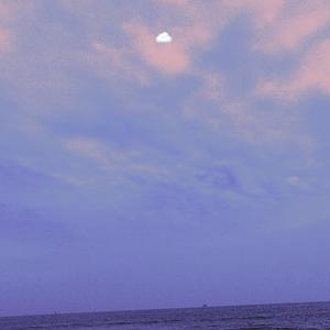 少扫BBBBB毛多水多
