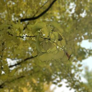 少扫BBBBB毛多水多
