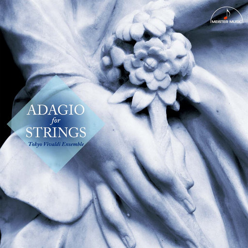 少扫BBBBB毛多水多
